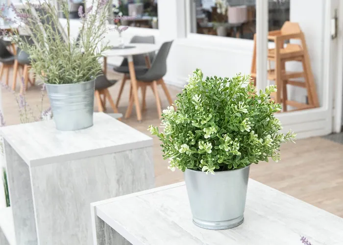 Zum Alten Fährhaus - Wrohm